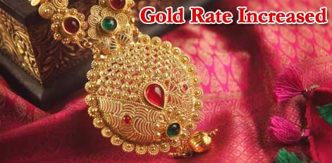 Gold Rate Increased Today Morning (19.02.2024)